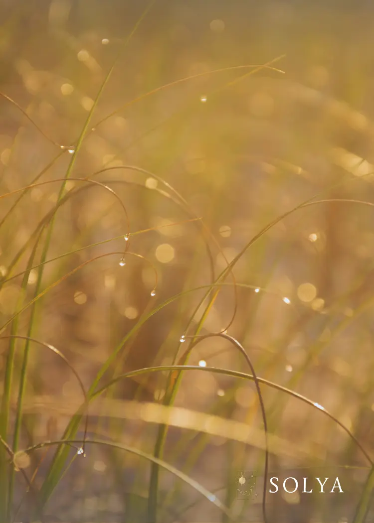 於是 有了一個地方